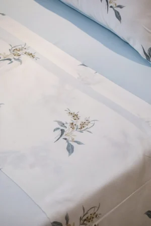 Pack « Céleste »